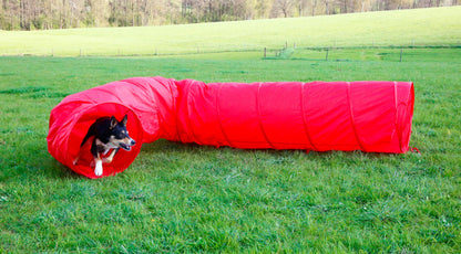 AGILITY tunel za psa - 5mx60 cm