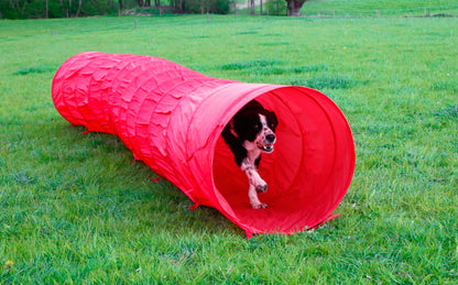 AGILITY tunel za psa - 5mx60 cm