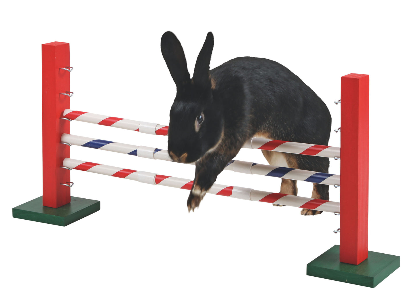 AGILITY skakalne ovire za  glodalce  Upright - 70x5x35cm