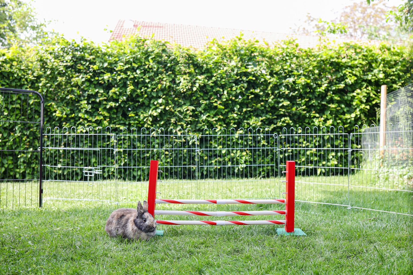AGILITY skakalne ovire za  glodalce  Upright - 70x5x35cm