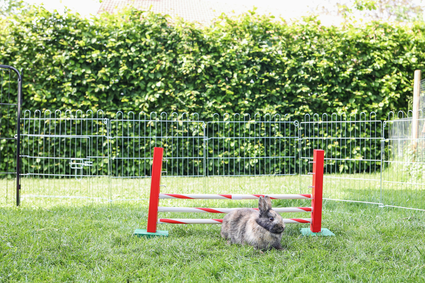 AGILITY skakalne ovire za  glodalce  Upright - 70x5x35cm