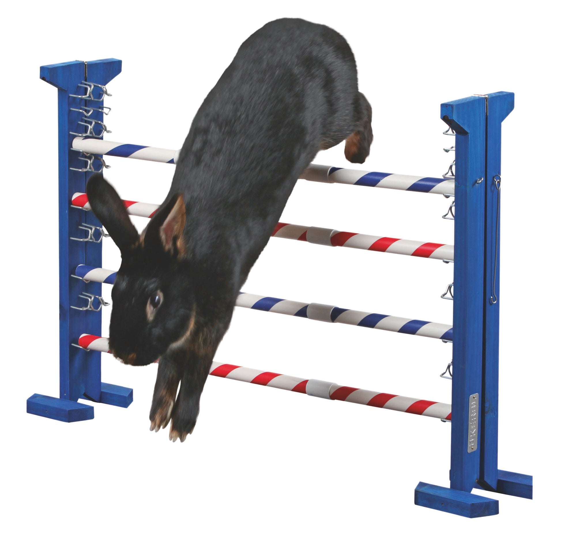 AGILITY skakalne ovire za glodalce Combo