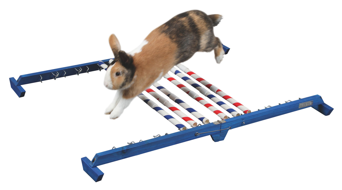 AGILITY skakalne ovire za glodalce Combo