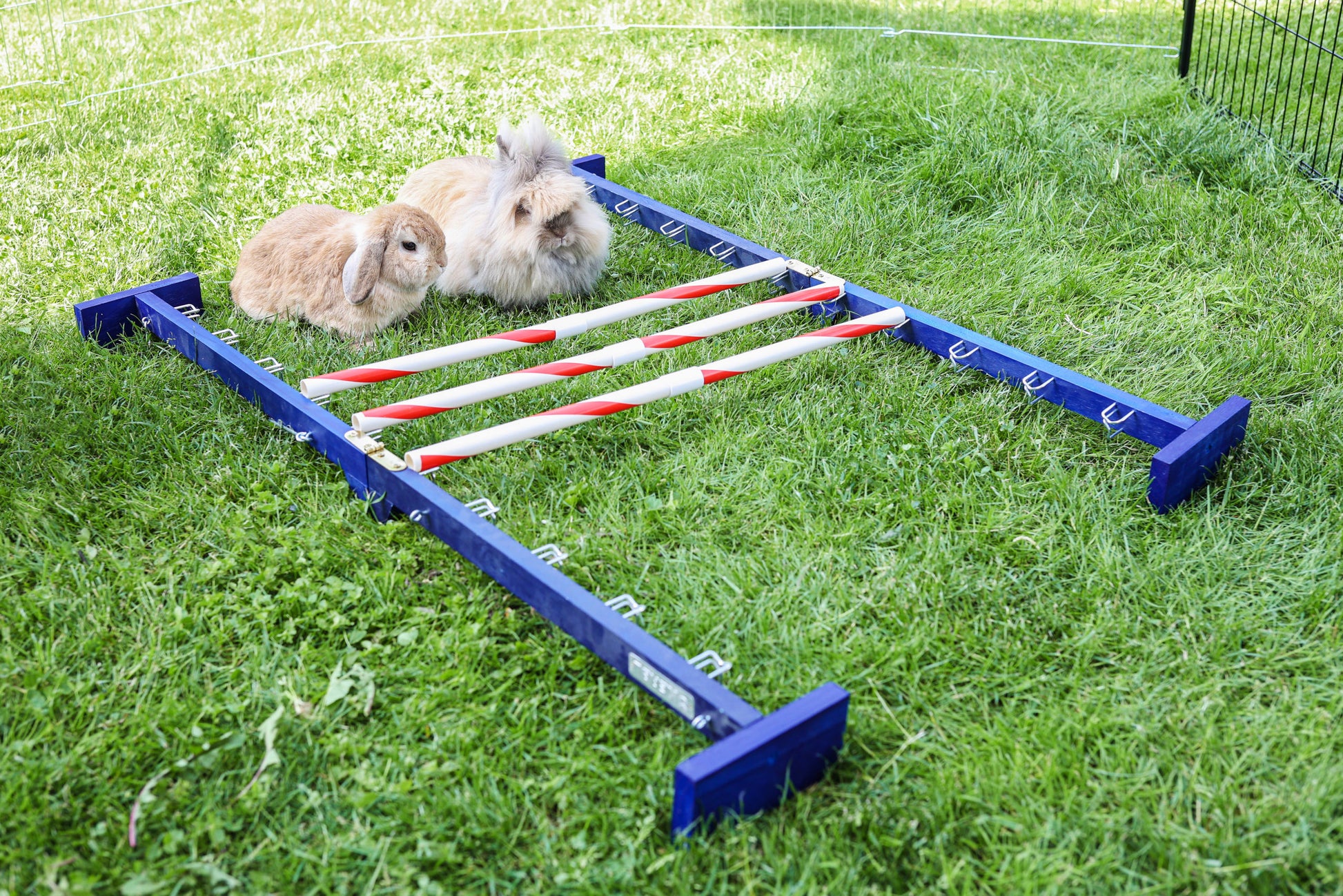 AGILITY skakalne ovire za glodalce Combo