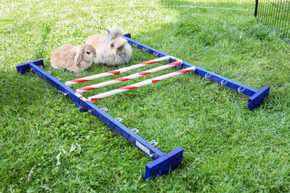 AGILITY skakalne ovire za glodalce Combo