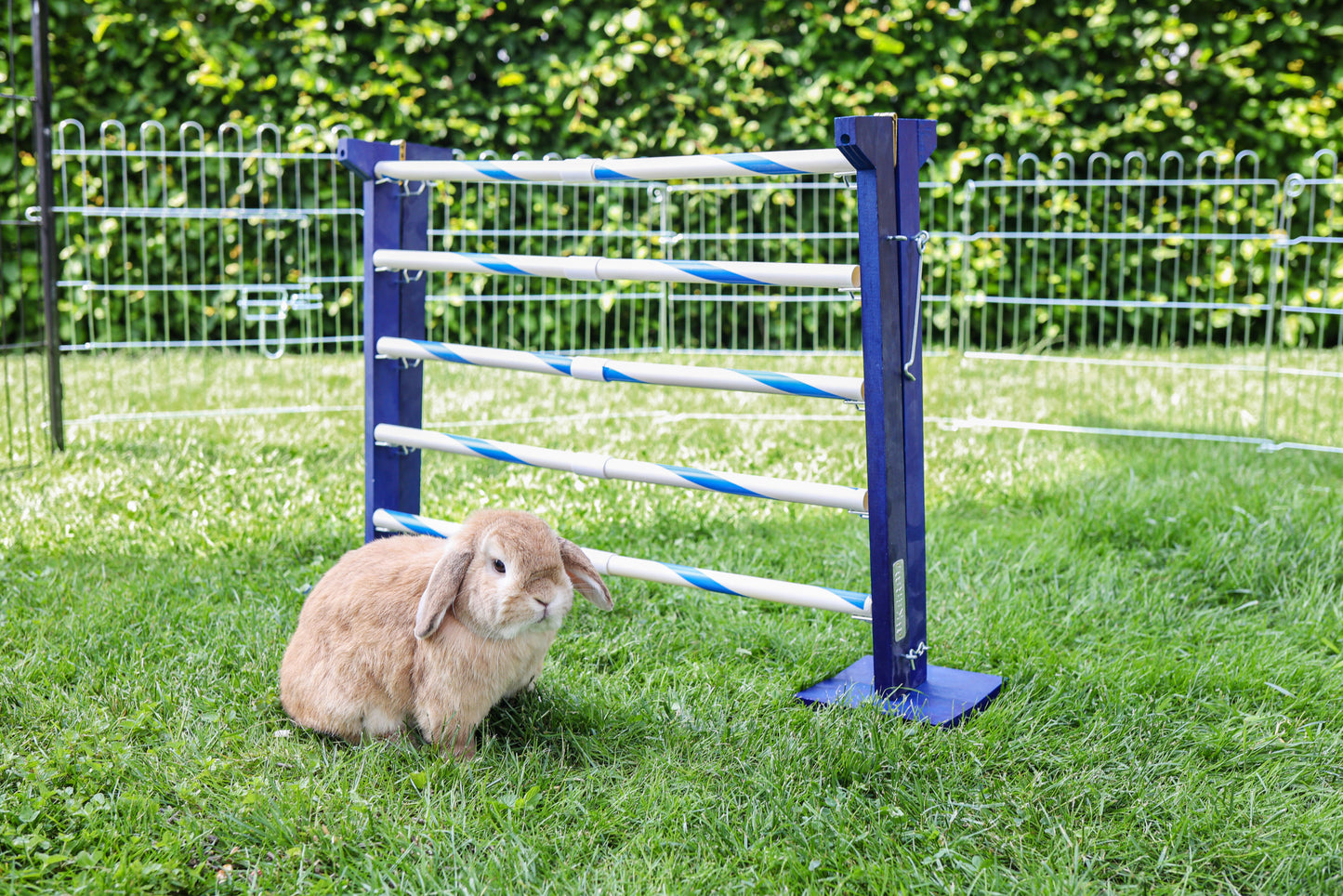 AGILITY skakalne ovire za glodalce Combo