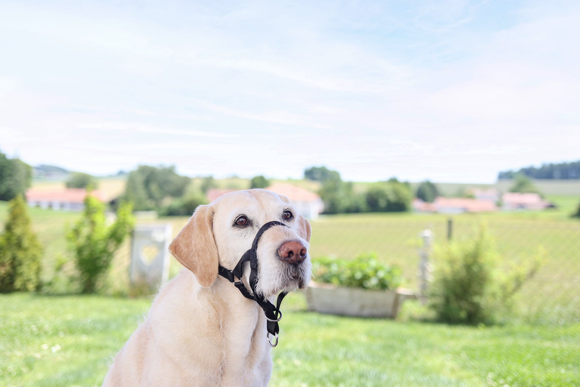 MAXI COACH velikost 3 crna < 32 cm