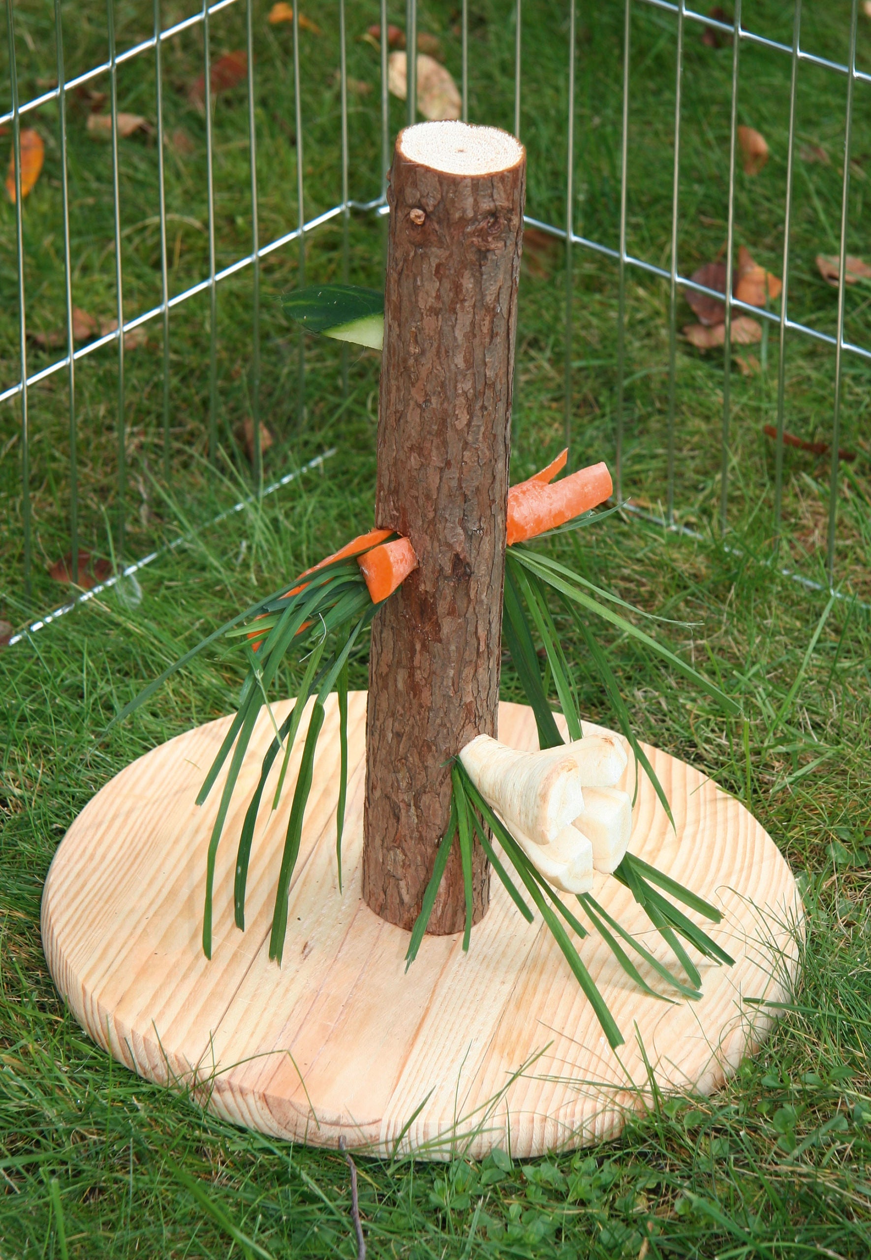 Krmno steblo, višina: 30 cm