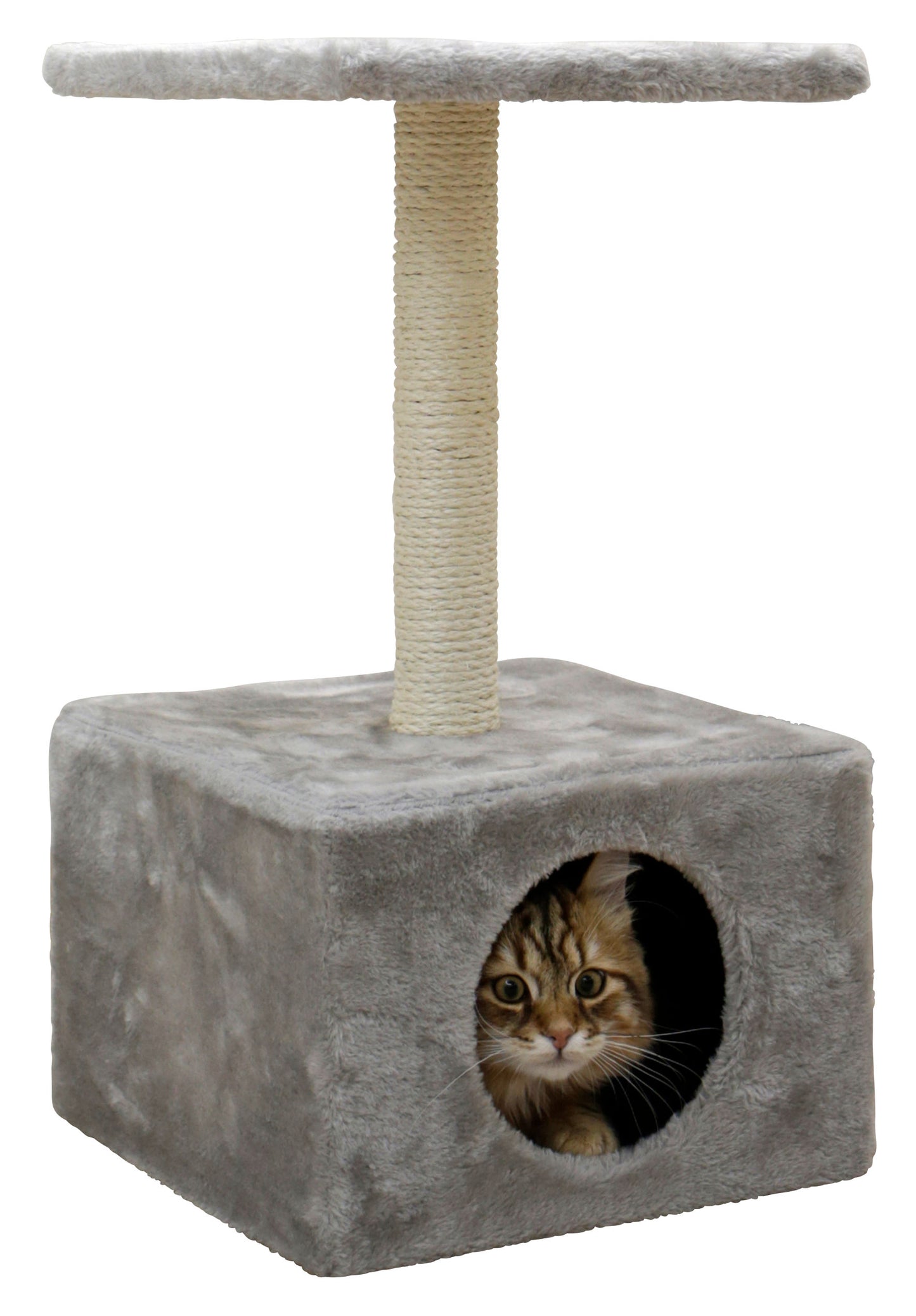 PRASKALNIK - macje drevo Amethyst siv