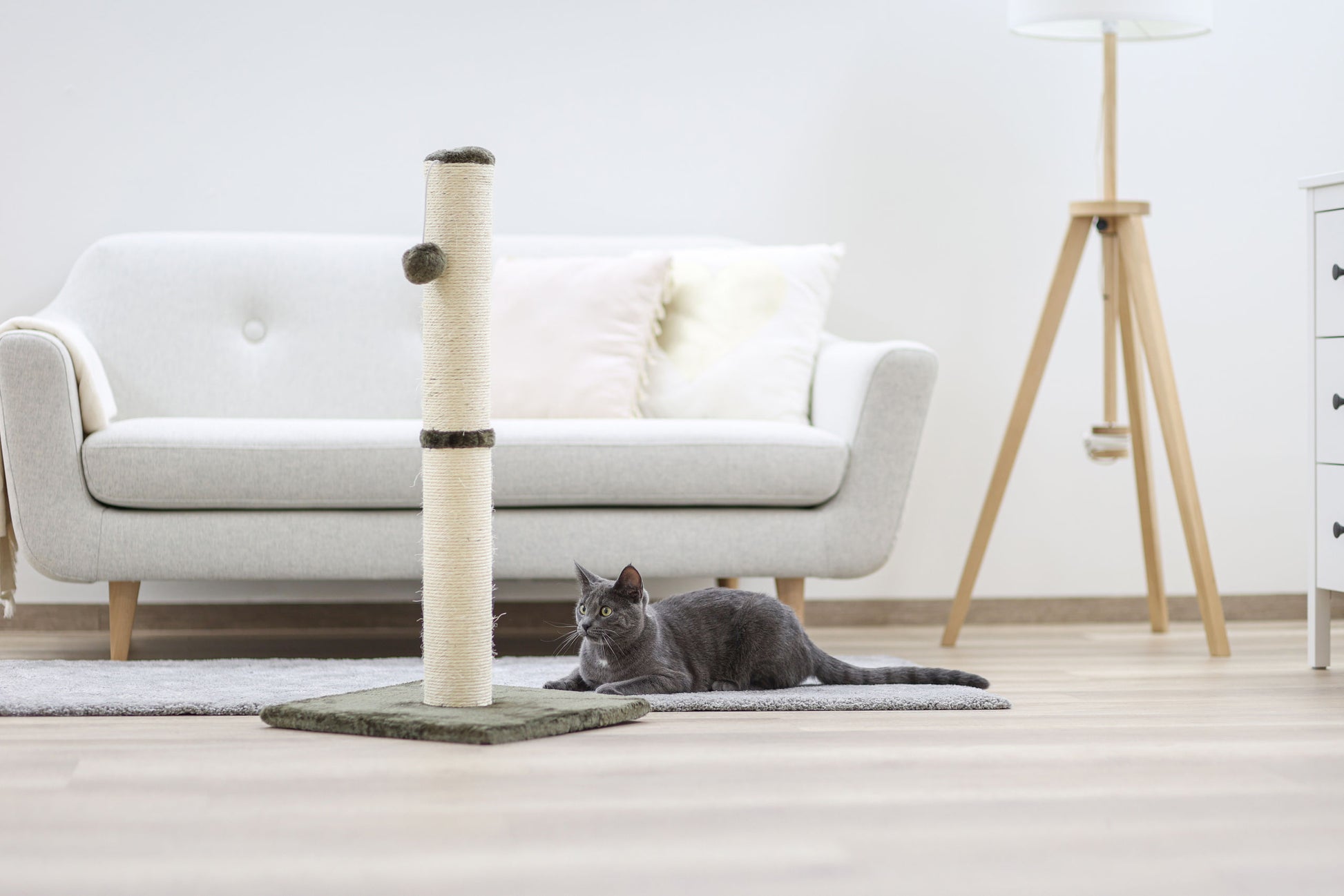 OPAL-MAXI Steber za praskanje siva, 78cm