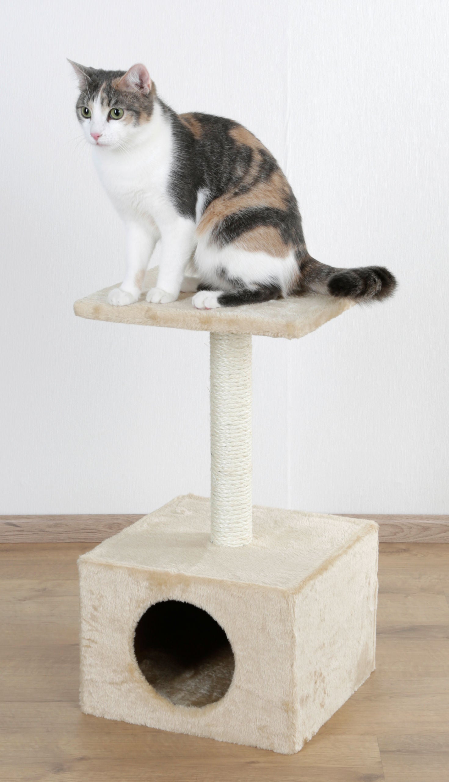 AMETHYST Praskalnik, 57cm beš