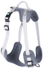 Oprsnica za psa Fitty, siva, 25 mm x 50 - 85 cm