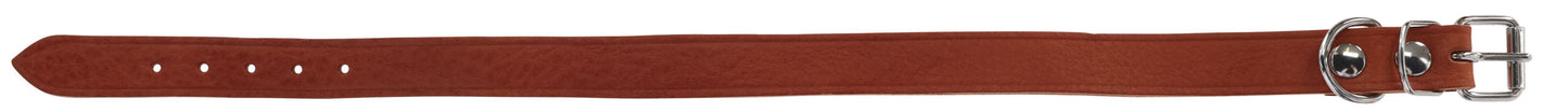 Ovratnik Toskana, rjava, 30 mm, nastavljiva 42 - 50 cm