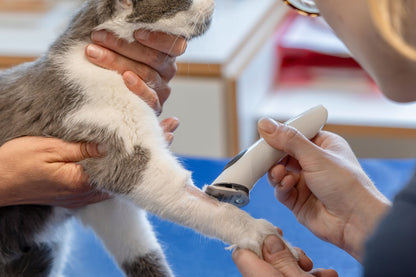 ELEKTRICNE škarje - AESCULAP Isis