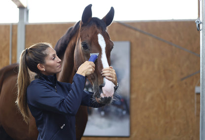 Durati Horse, 1 akumulator modra/črna