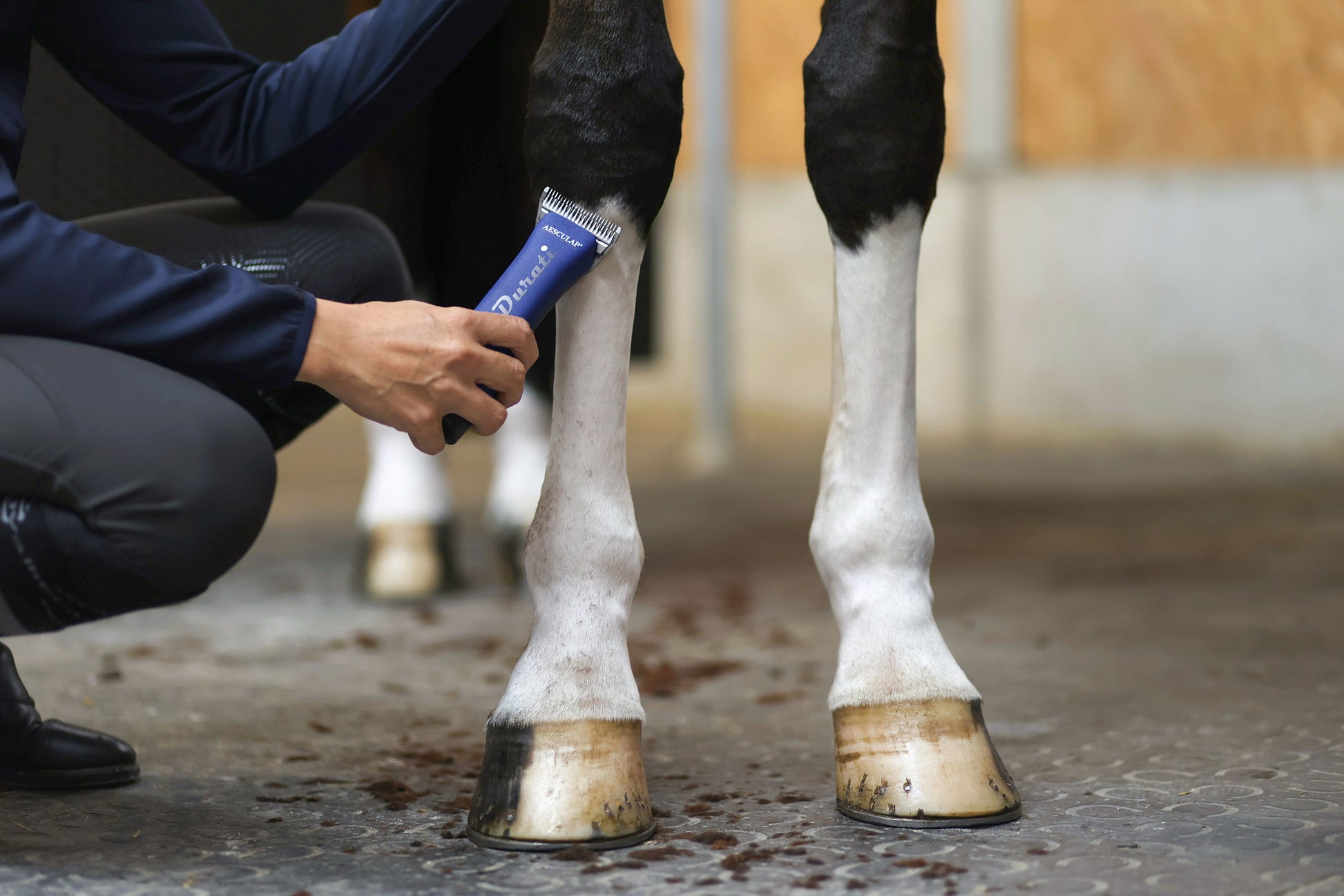 Durati Horse, 1 akumulator modra/črna