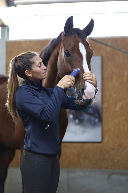 Durati Horse, 1 akumulator modra/črna
