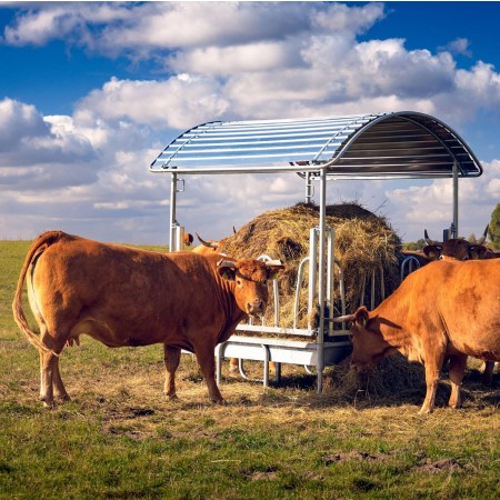 KRMNA-KORITA-IN-KOZOLCI