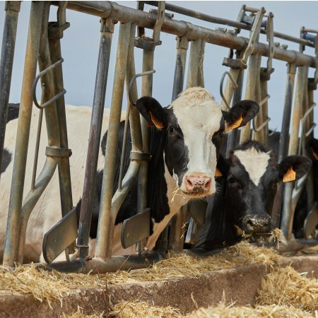 OPREMA-ZA-HLEVE-IN-KMETIJE